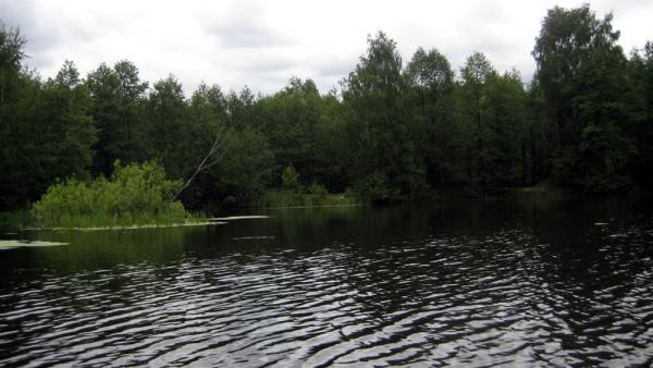 03 на Генераловом