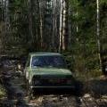Белый слет