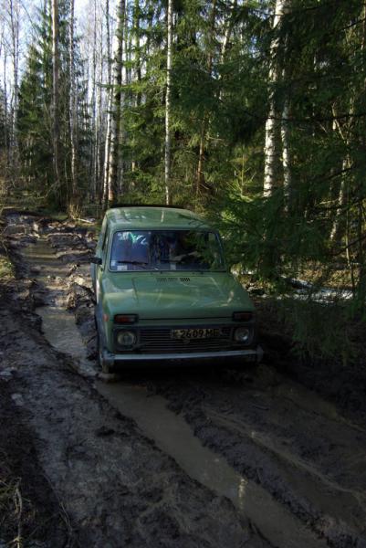 Белый слет