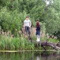 Это могло бы быть трогательной историей