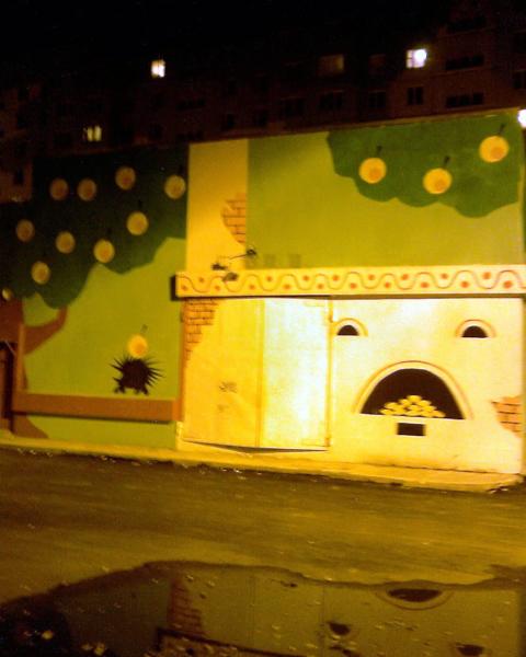 Дикий ежик в Раменском 02