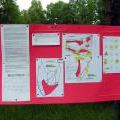 Летний крейзик 2008 02