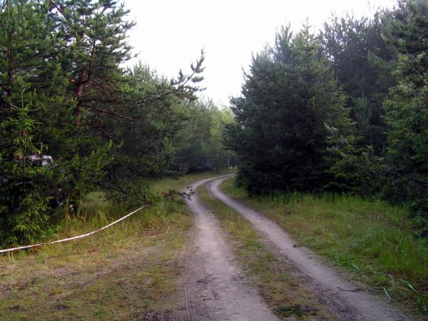Летний крейзик 2008 19