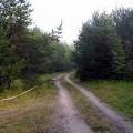 Летний крейзик 2008 19