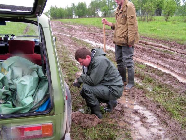 Сплошная грязь и это еще не самое страшное
