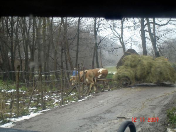 Украинские миротворцы в Косово 47