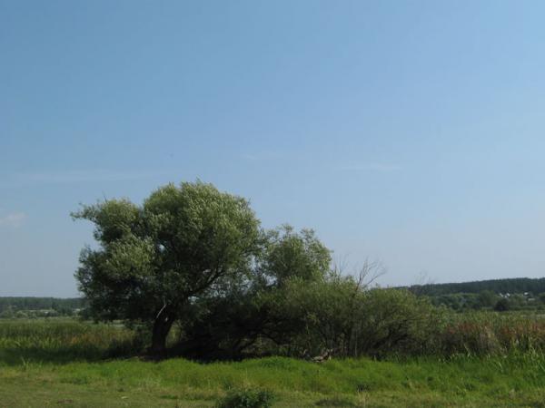 Озера 036