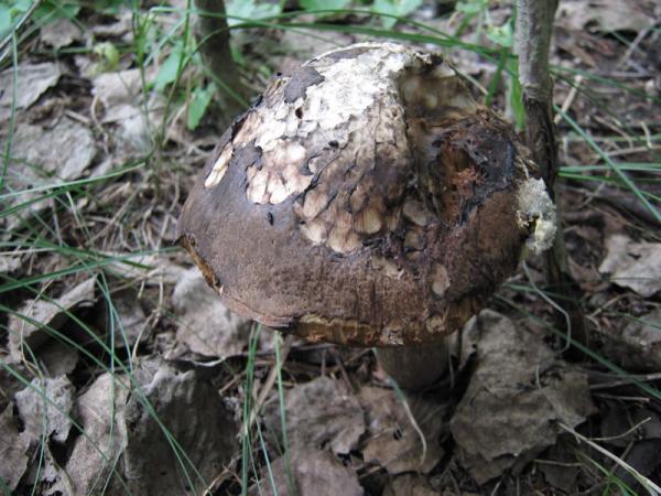 Озера 052