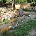Озера 102