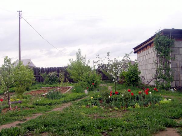 Передний садик в клумбах