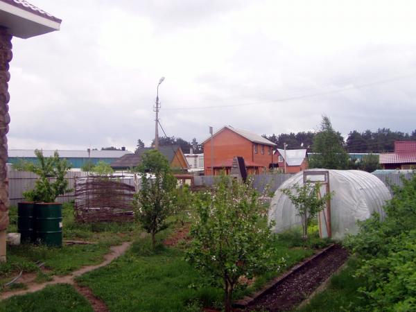 Теплицы, задний садик