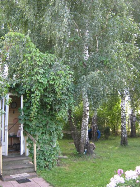 На даче 04