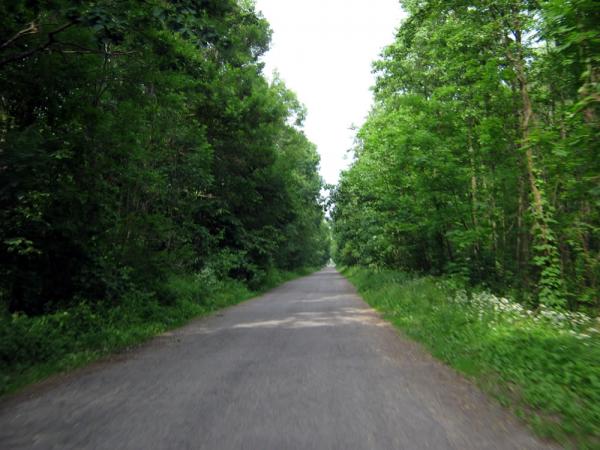 Дорога в сказку
