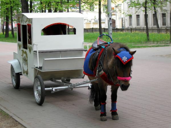 Ярославль 09 105